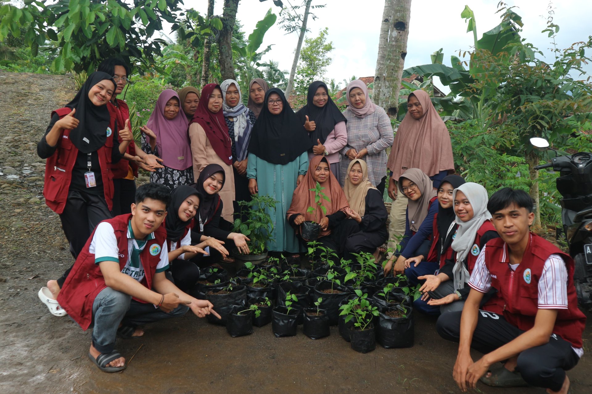 Day 5. Intensifikasi pekarangan