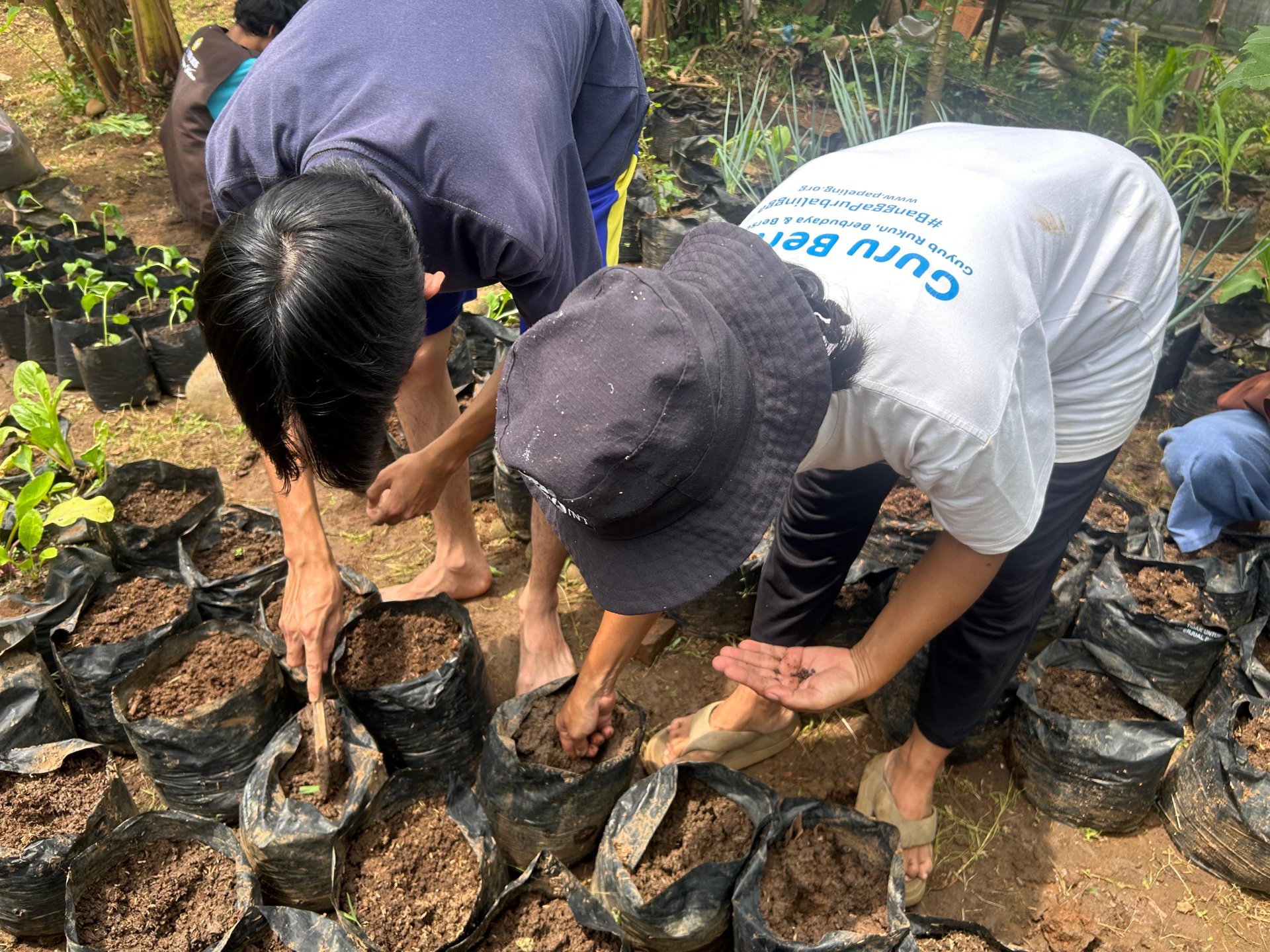 Intensifikasi Pekarangan dengan KWT Wanogara Wetan