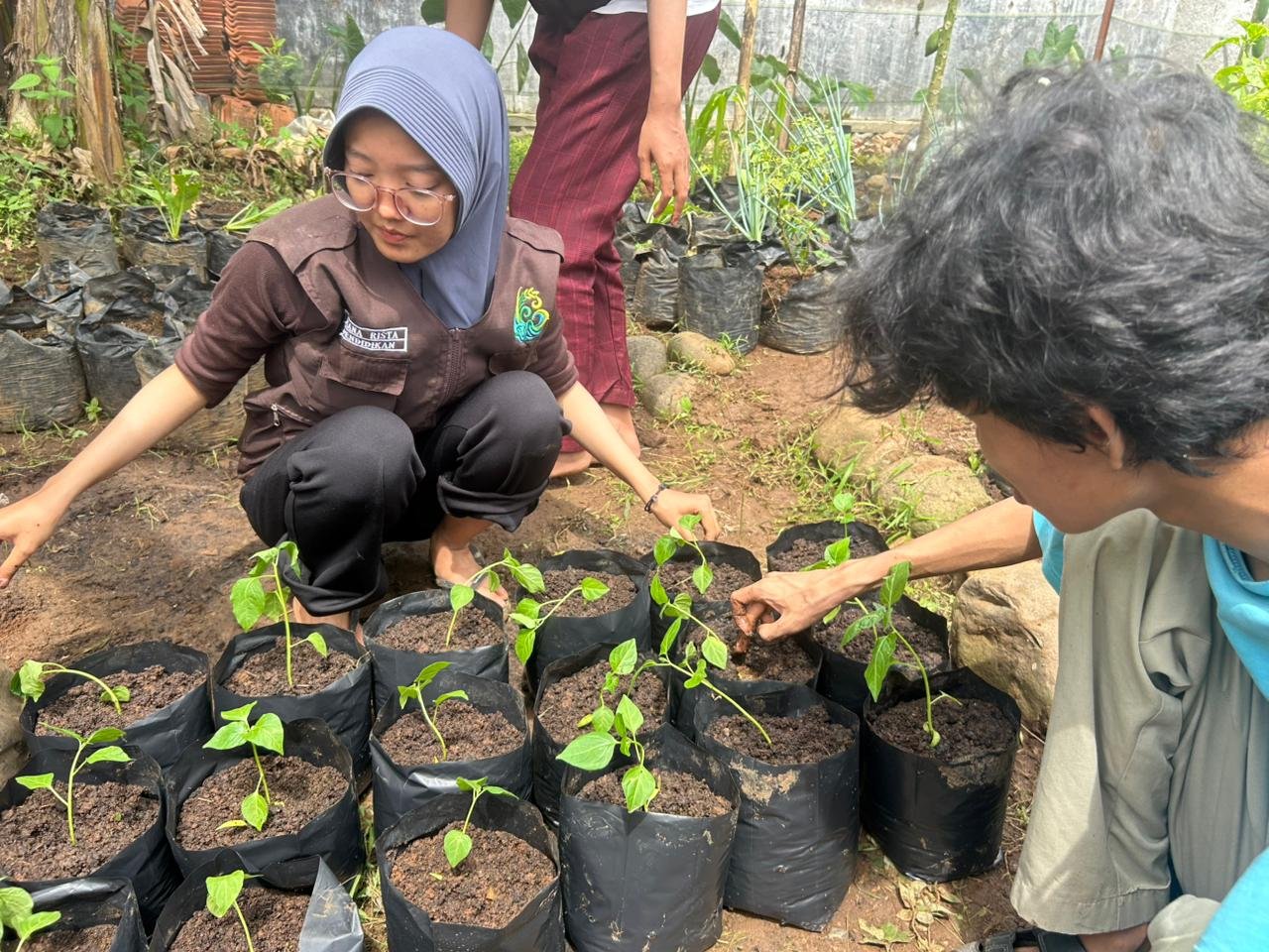 Pelaksanaan Proker Intensifikasi Pekarangan