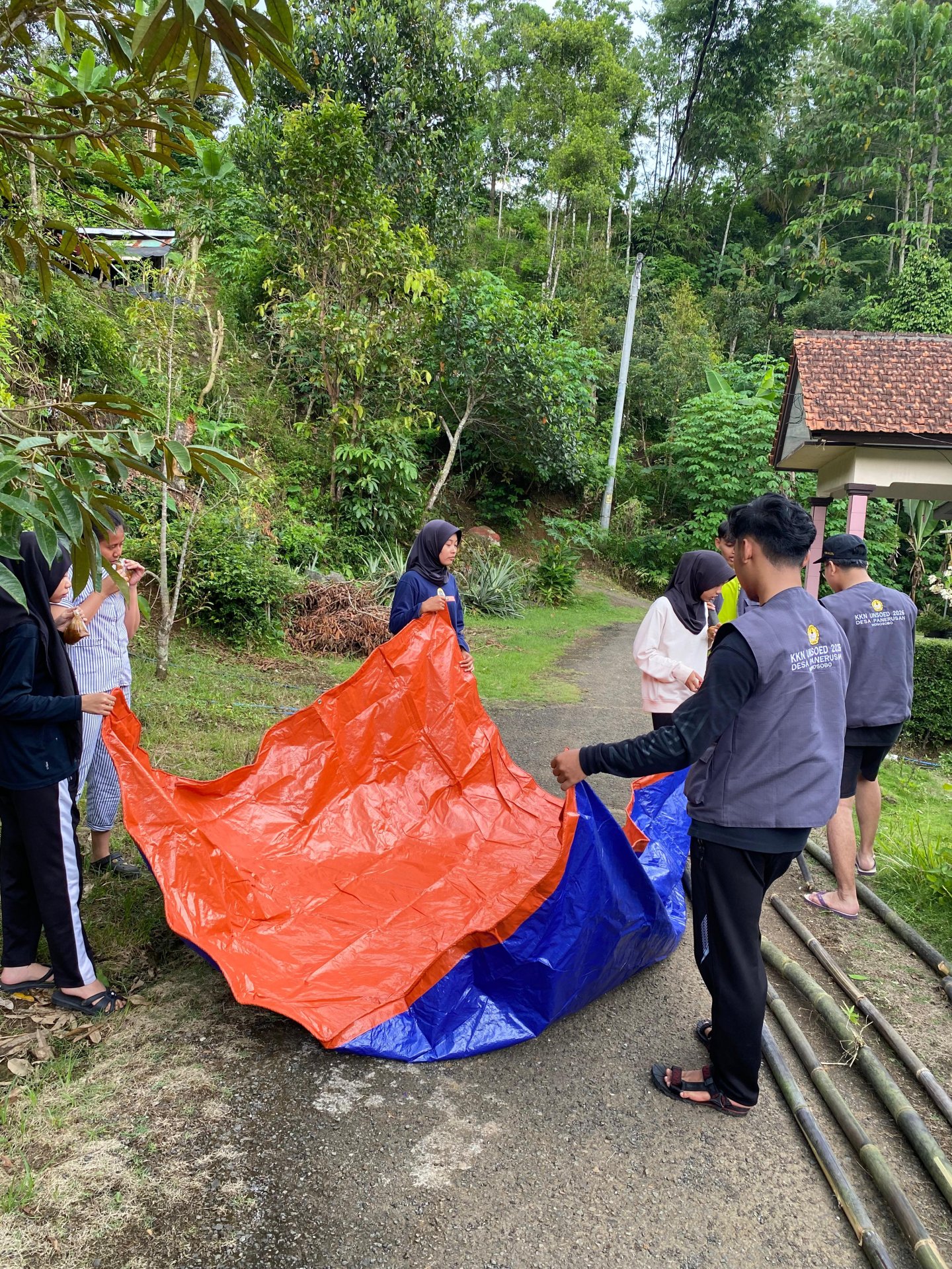 Membuat wadah/kolam untuk magot
