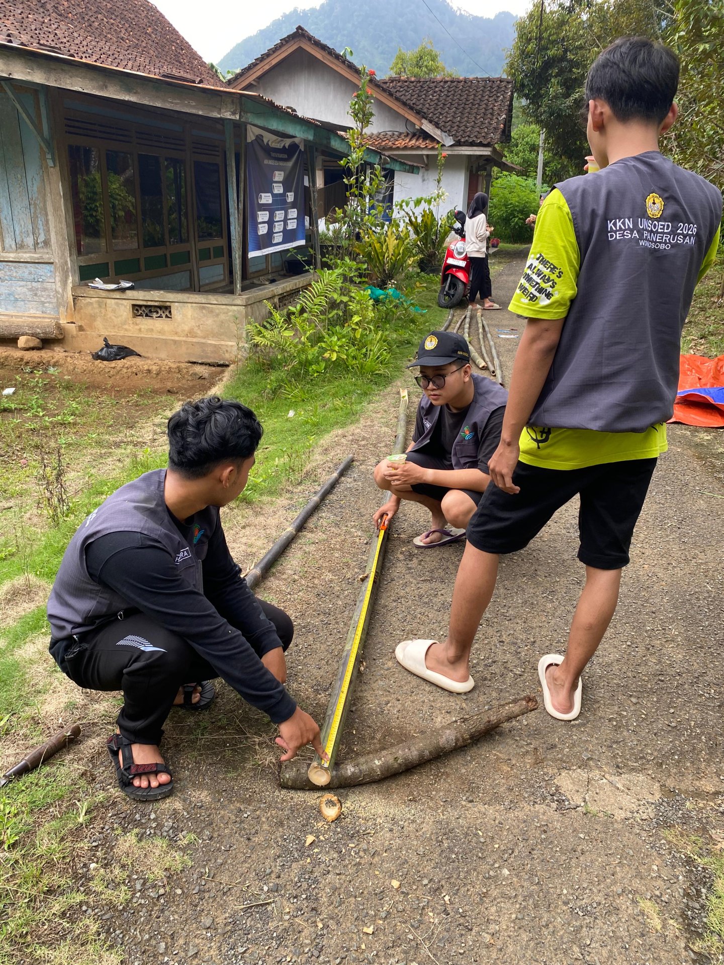 Pembuatan kandang maggot