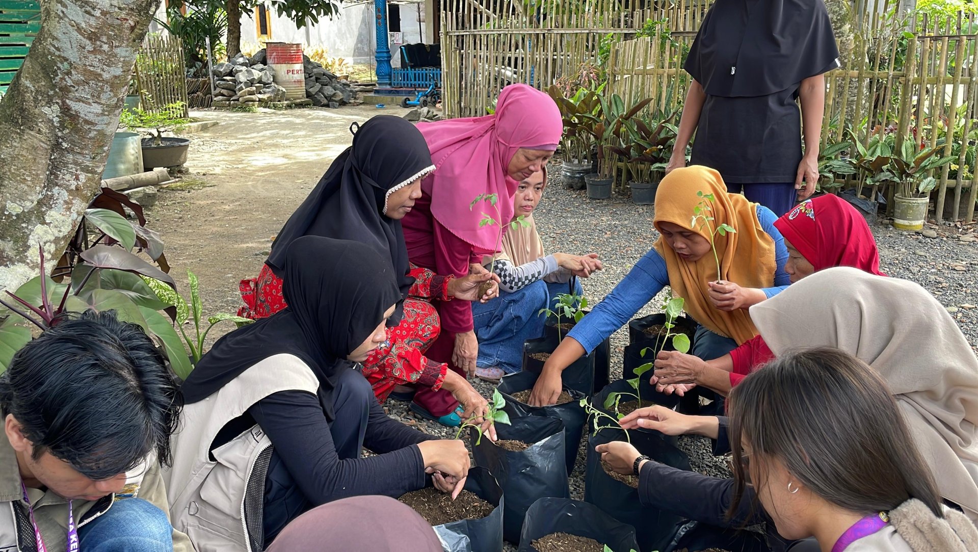 Praktik Perkarangan Produktif di RW 1 Dusun 1