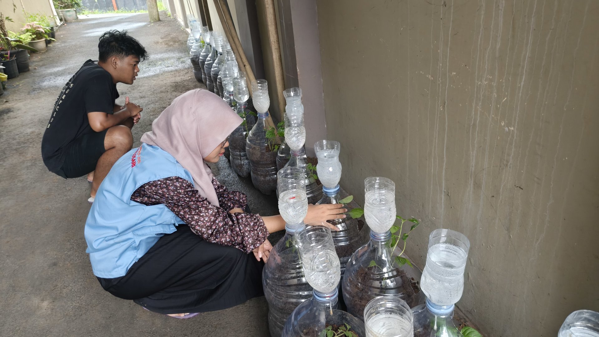 monitoring irigasi tetes