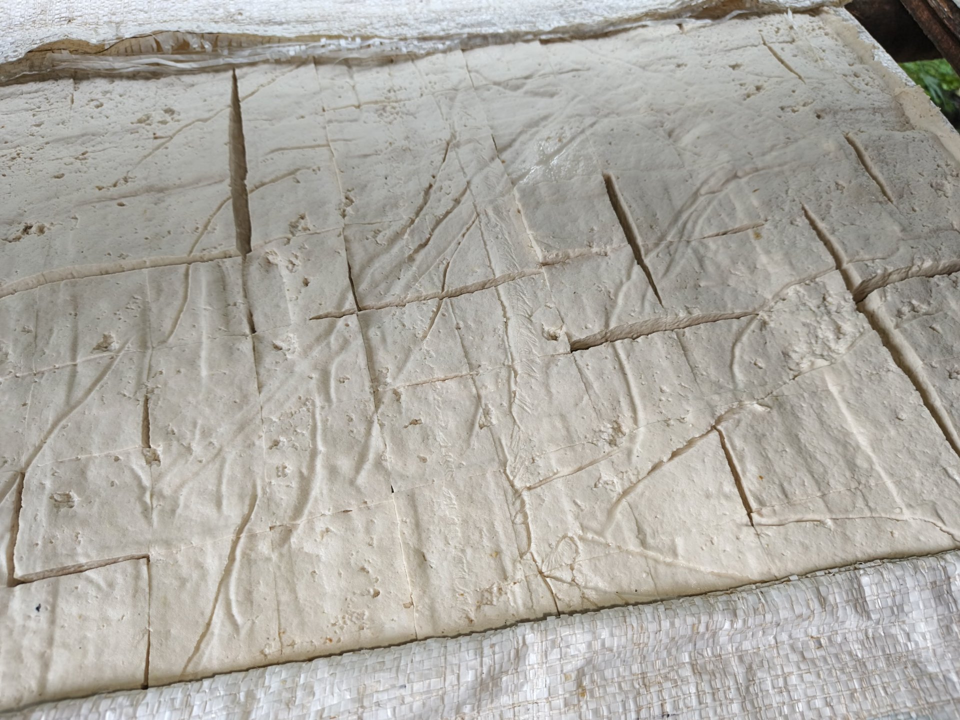 Kunjungan ke pabrik pembuatan tahu