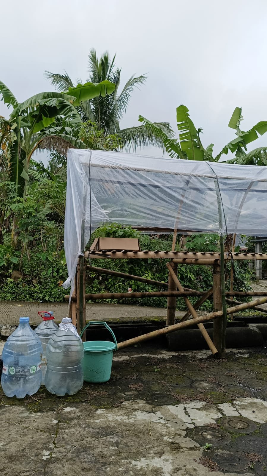 KKN Hari Keenam di Gumelem Wetan