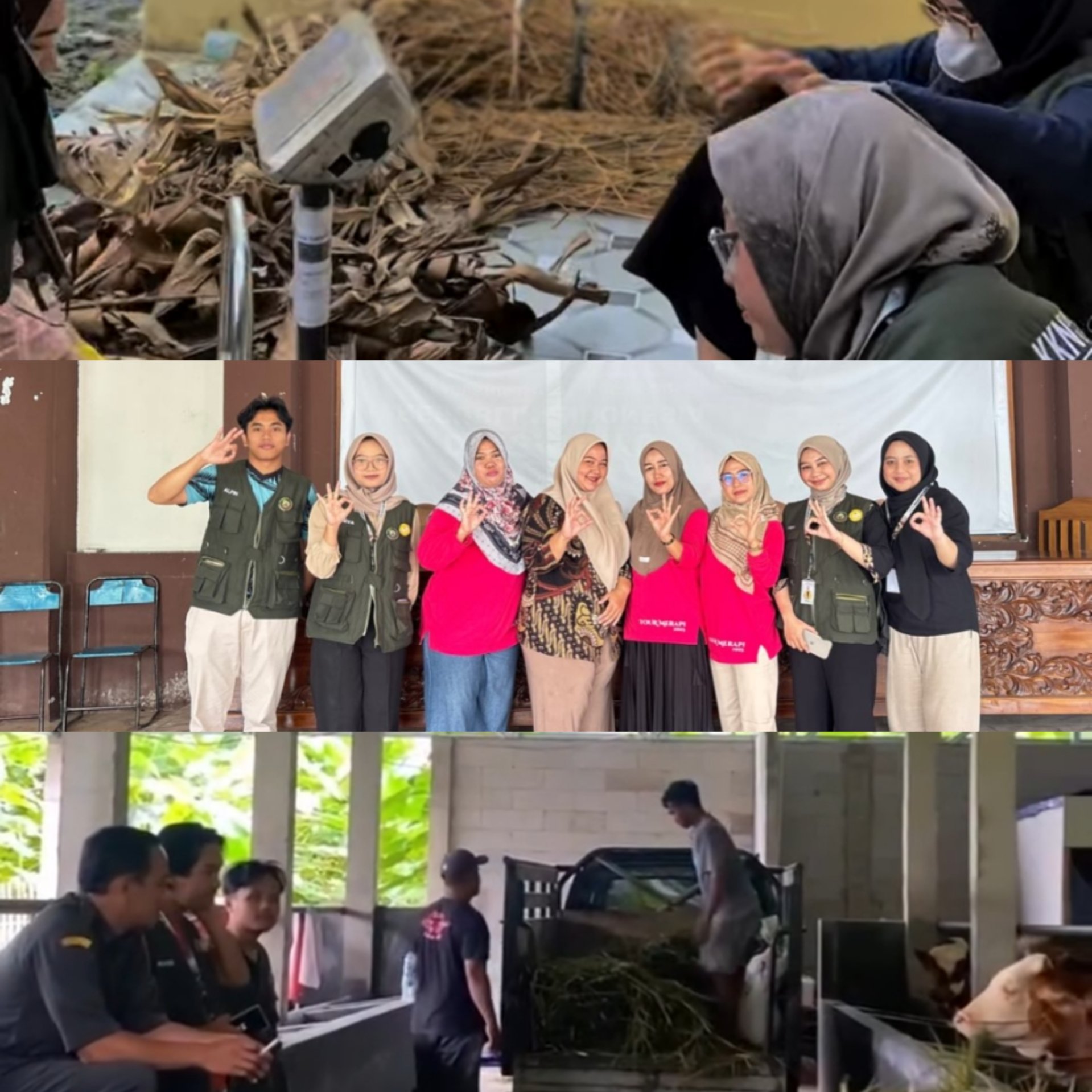 KKN Day 6: Pendampingan Posyandu serta Koordinasi Program Pupuk dan Silase