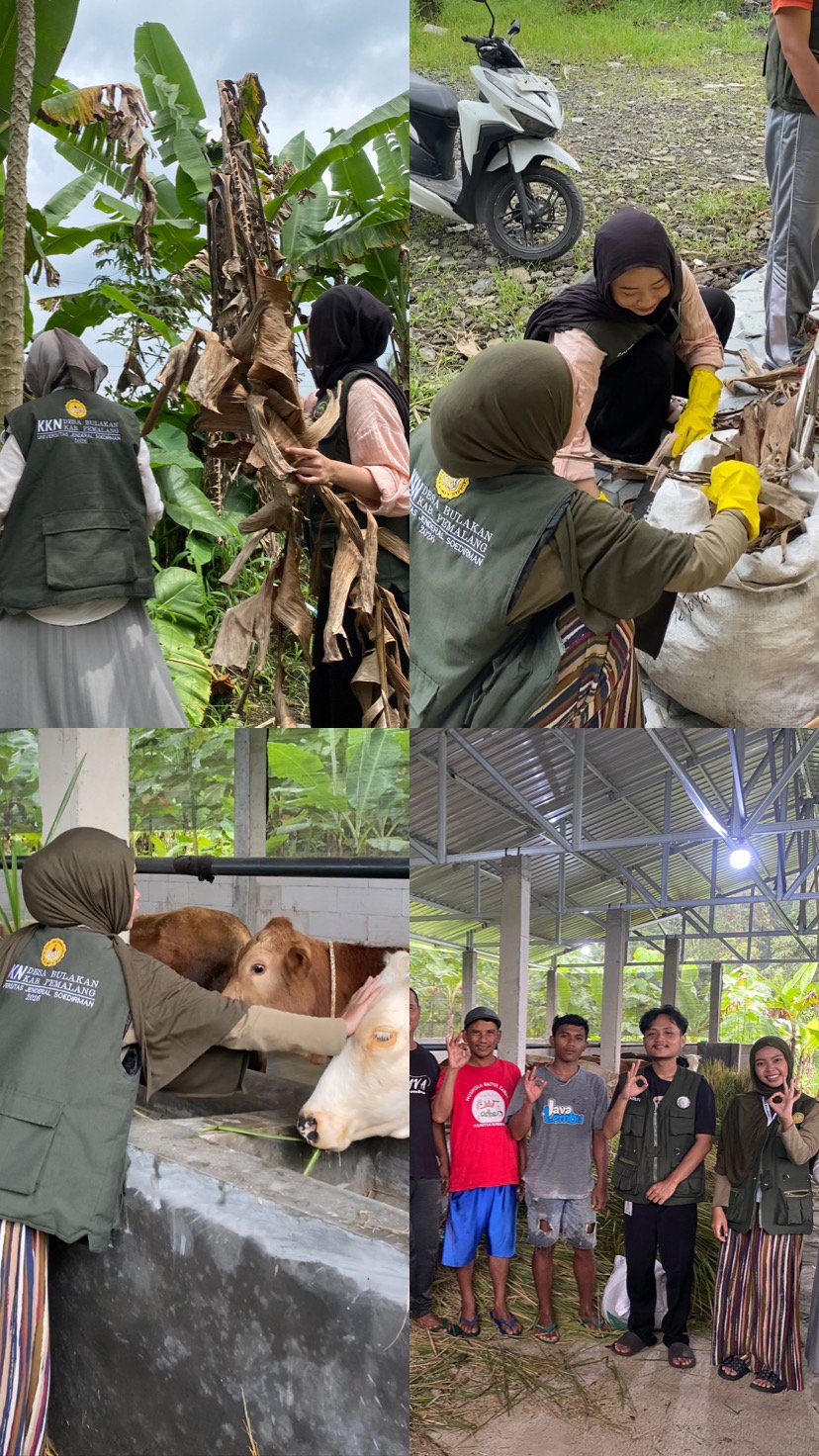 Persiapan Bahan Pupuk & Koordinasi Peternakan