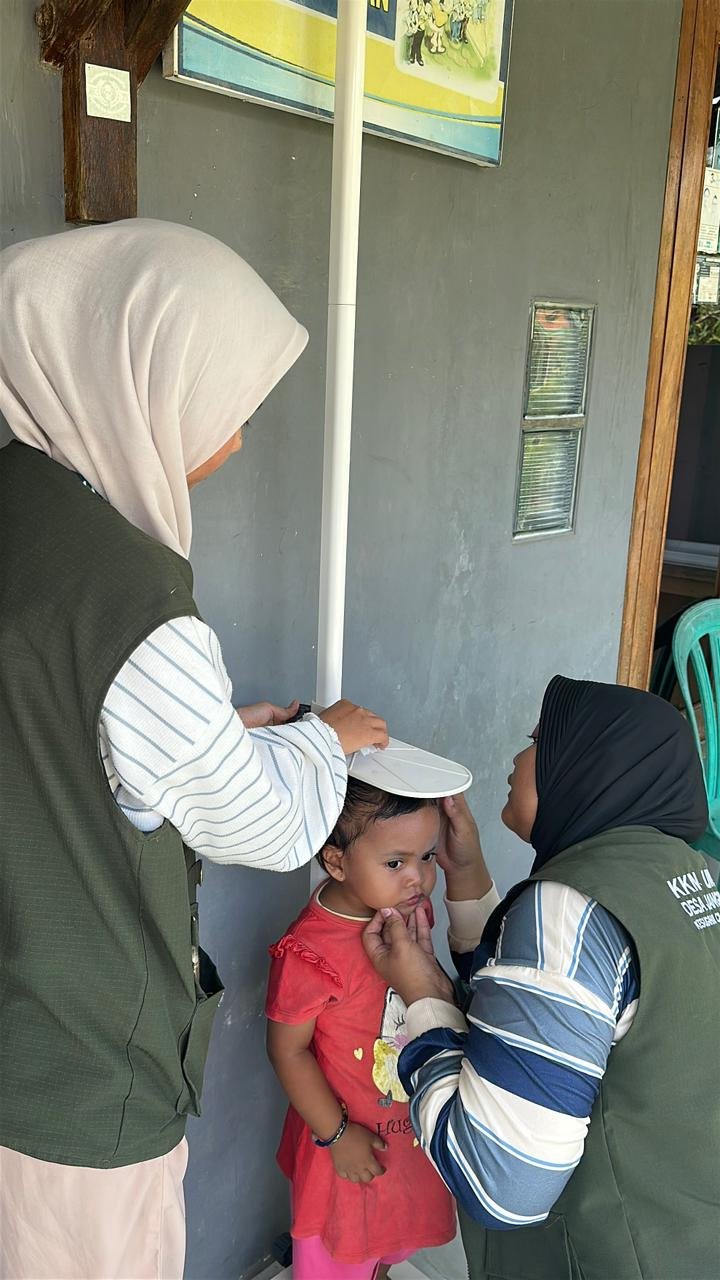 Pendamping Posyandu Balita da Lansia