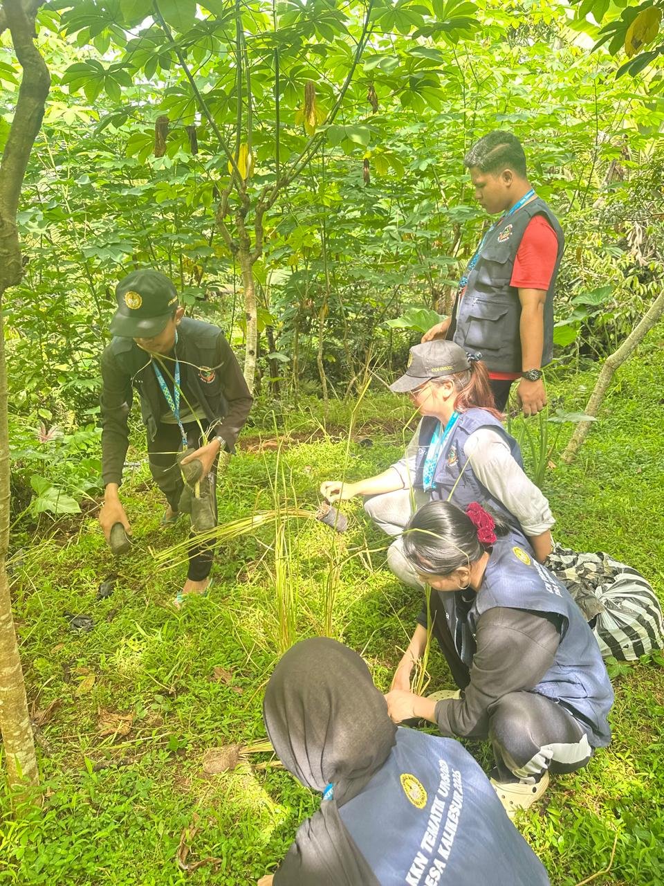 penanaman rumput vertiver