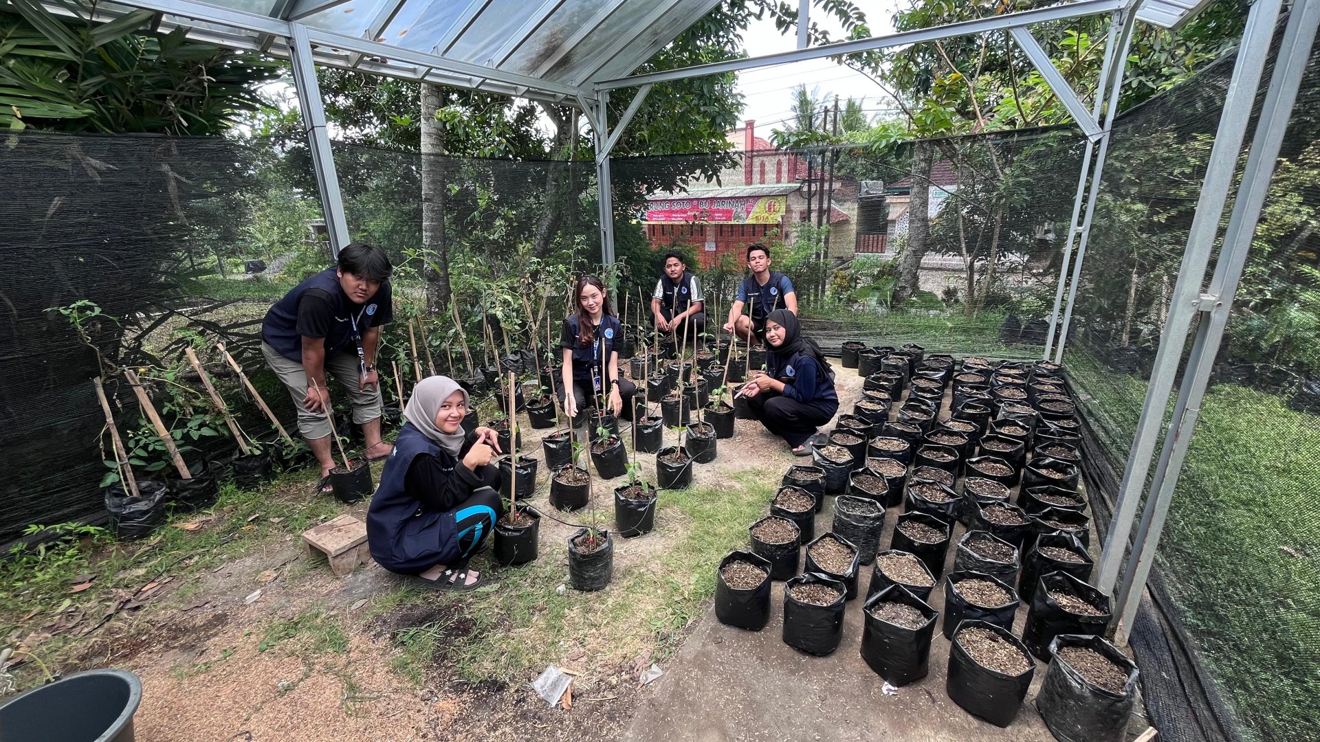 Bid. Lingkungan - Insentifikasi Pekarangan dan Irigasi Tetes bersamaa KWT dusun  3