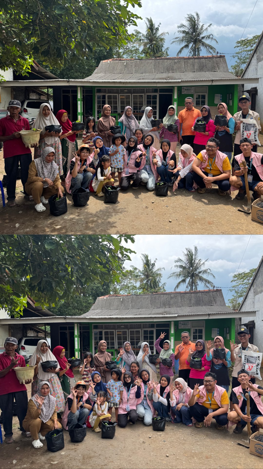 Day 7 KKN: Sosialisasi dan Penanaman Cabai