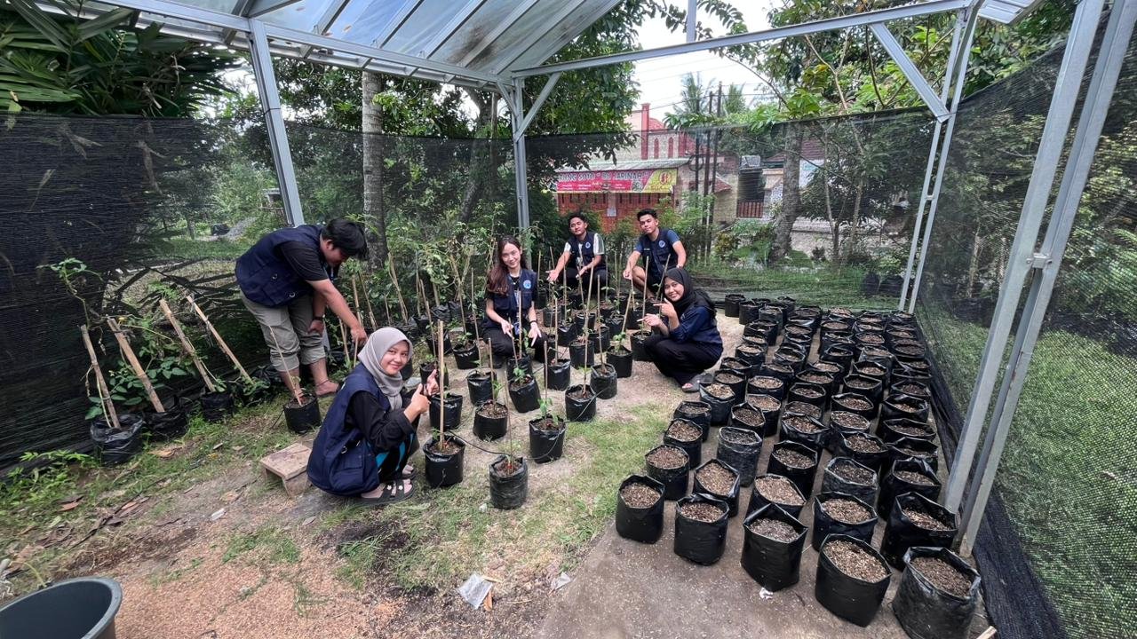 Pemasangan irigasi tetes