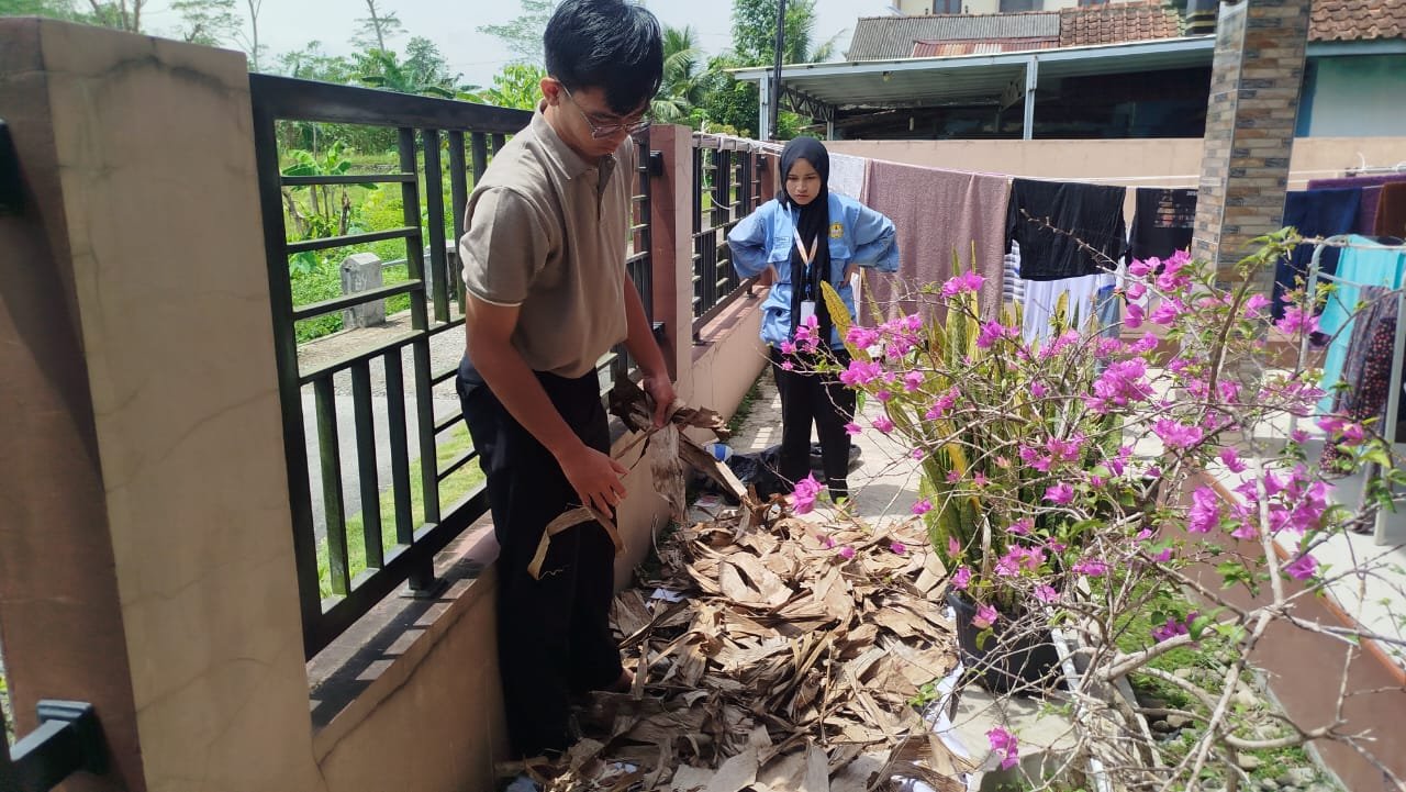 Penjemuran bahan pupuk organik