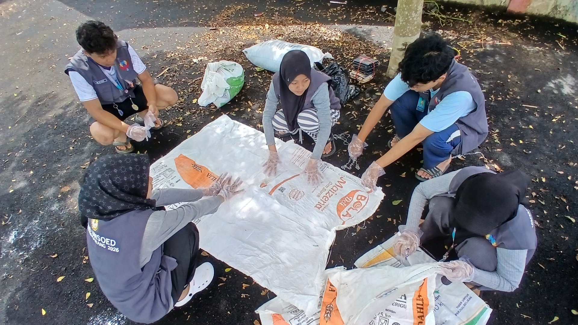 Pembuatan Media Tanam: Siap Tanam Cabai di Desa Karangbawang