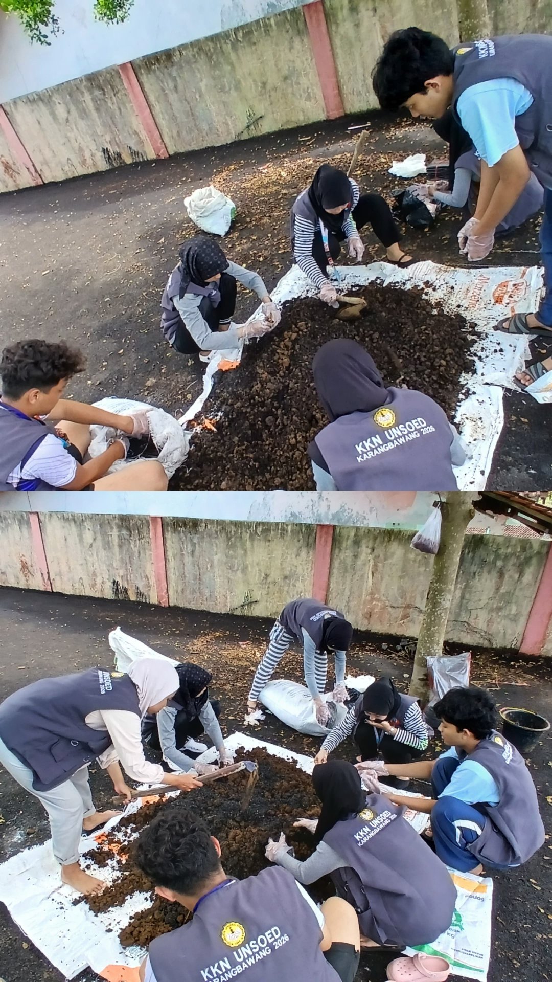 Pembuatan Media Tanam