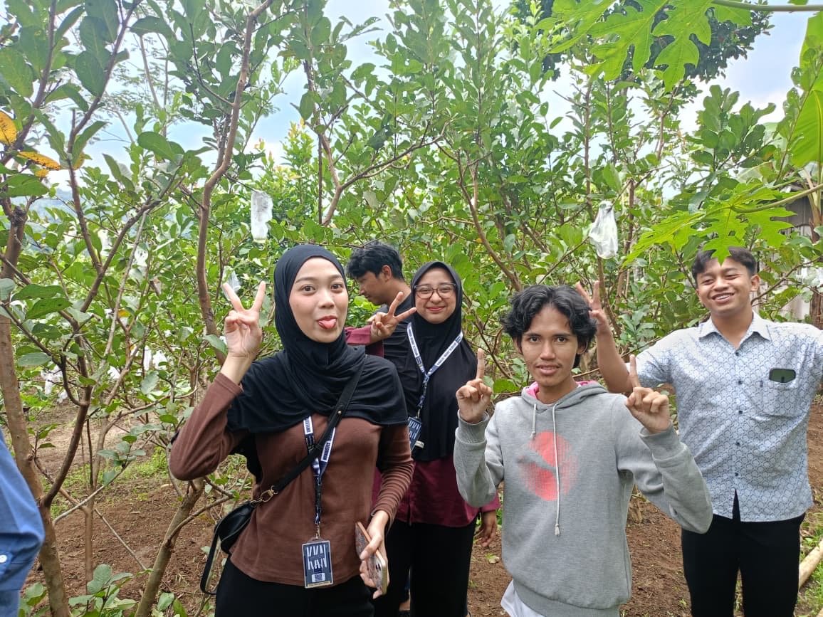 Berkunjung ke lahan buah Jambu