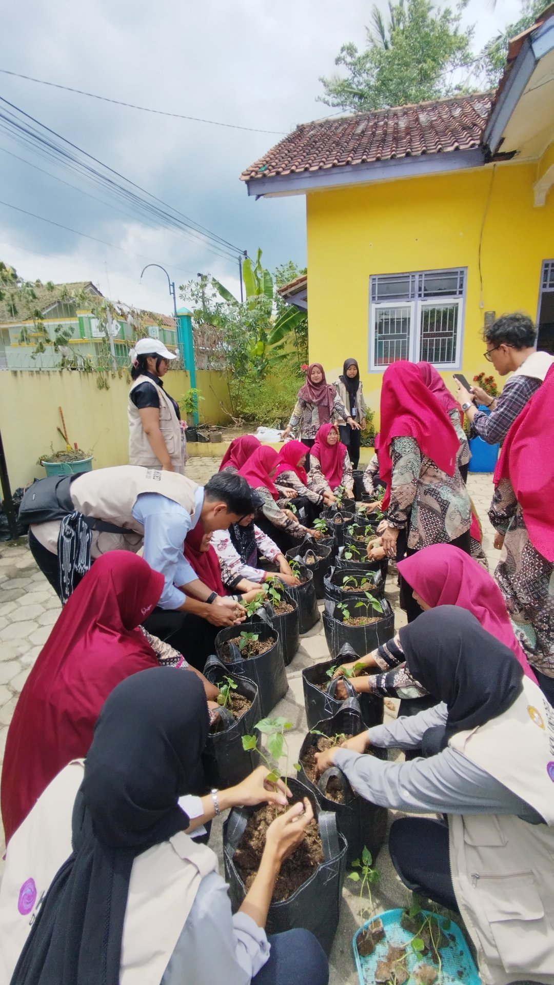 Intensifikasi  lahan pekarangan