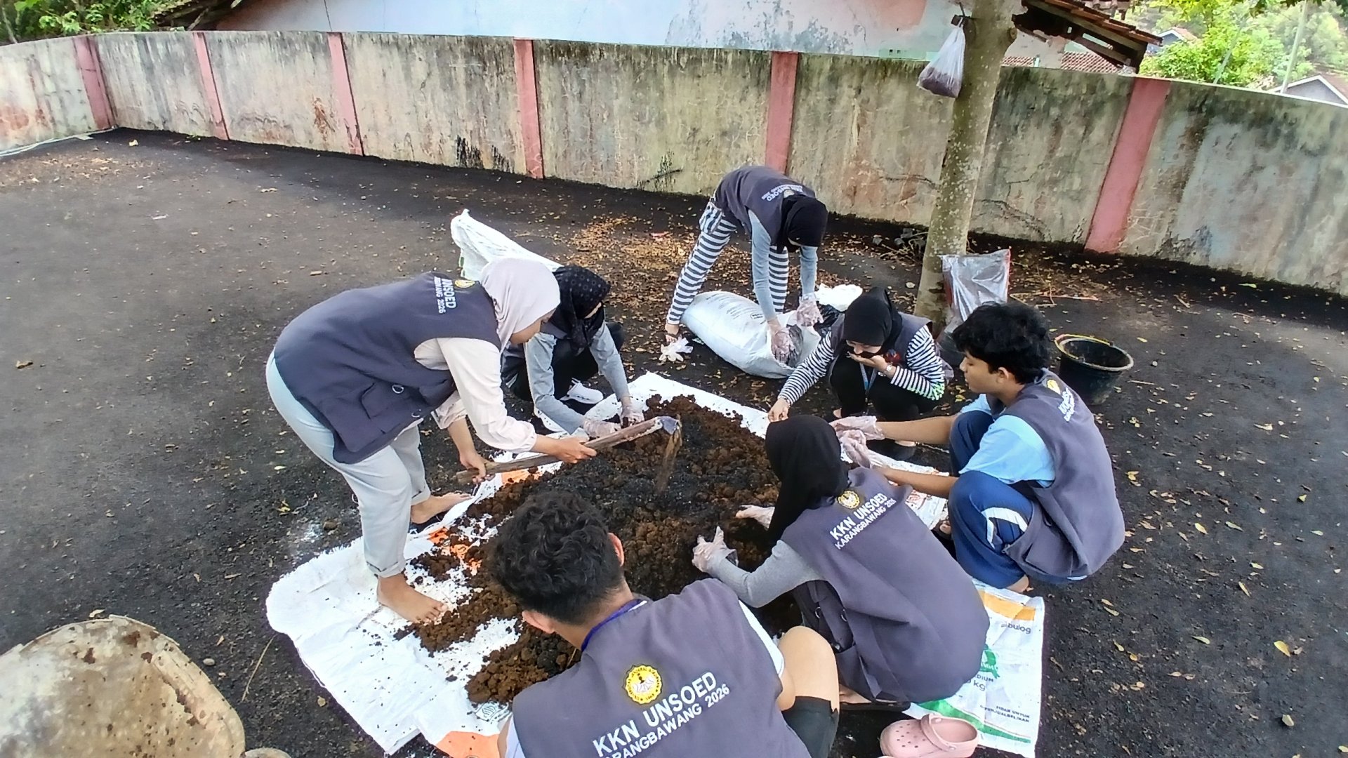Pembuatan Media tanaman