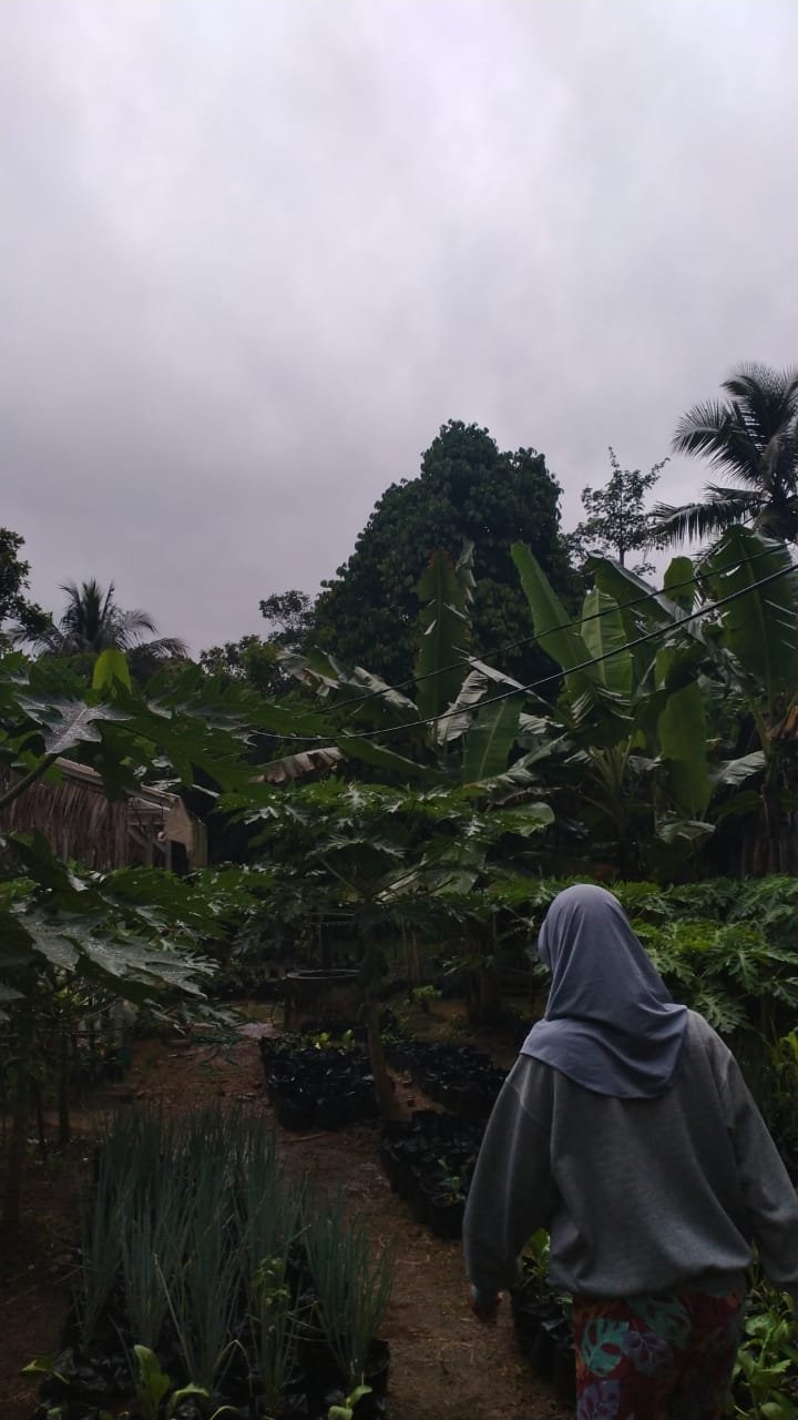 Monitoring Pekarangan