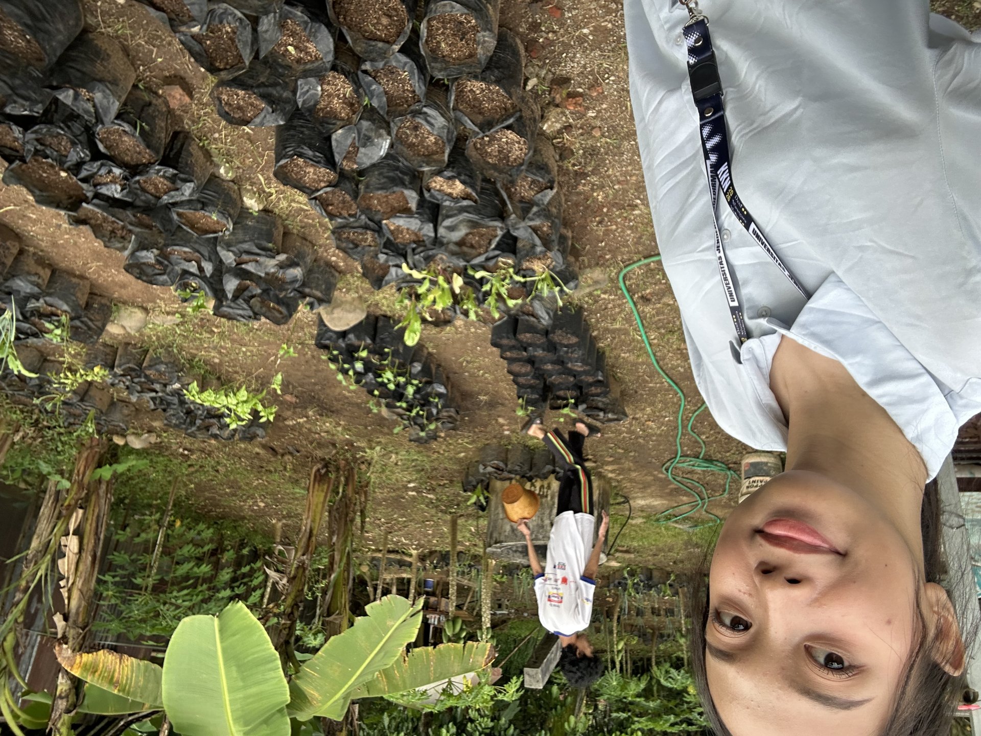 Monitoring Intensifikasi Pekarangan