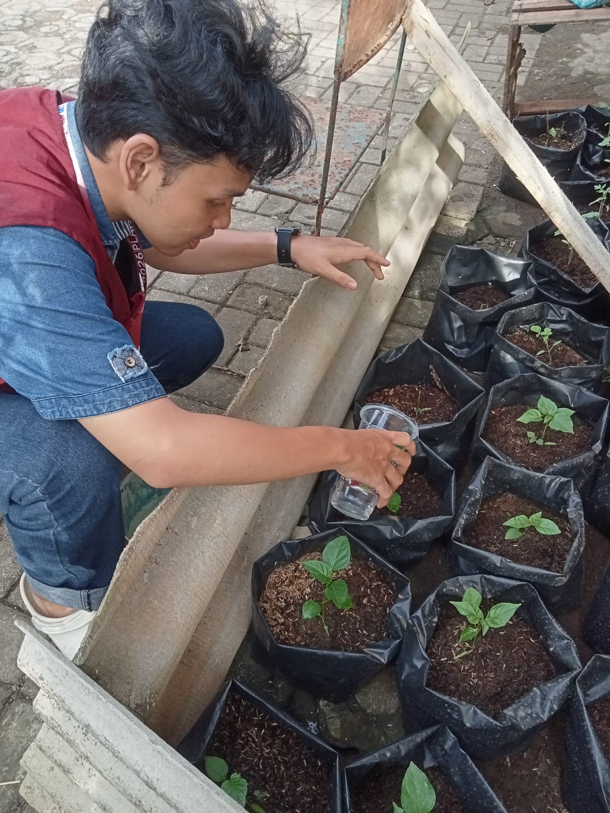 CONTROLLING INTENSIFIKASI PEKARANGAN