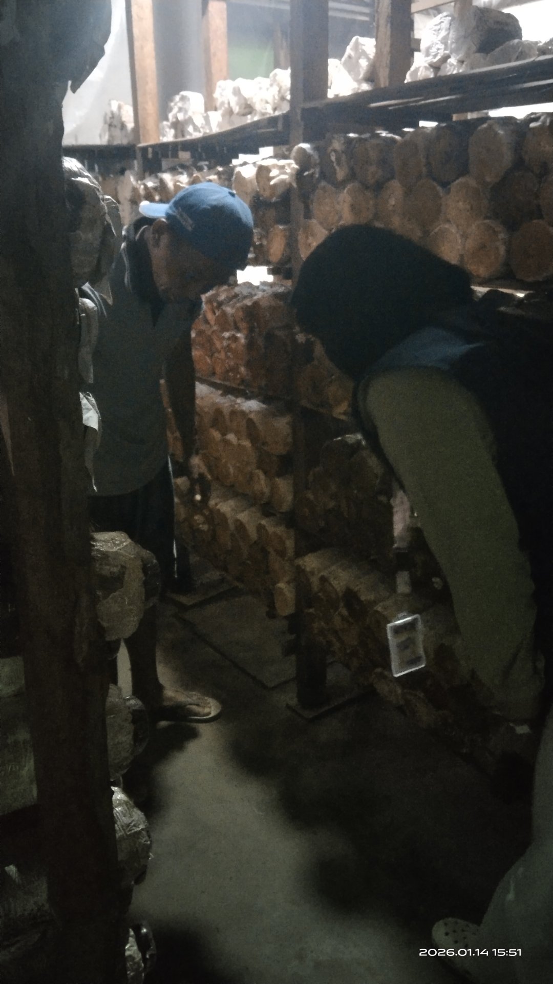 Pendataan UMKM Jamur Tiram