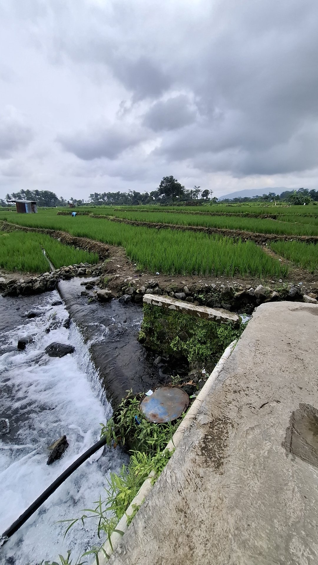 KKN Desa Sodong Basari hari ke-delapan