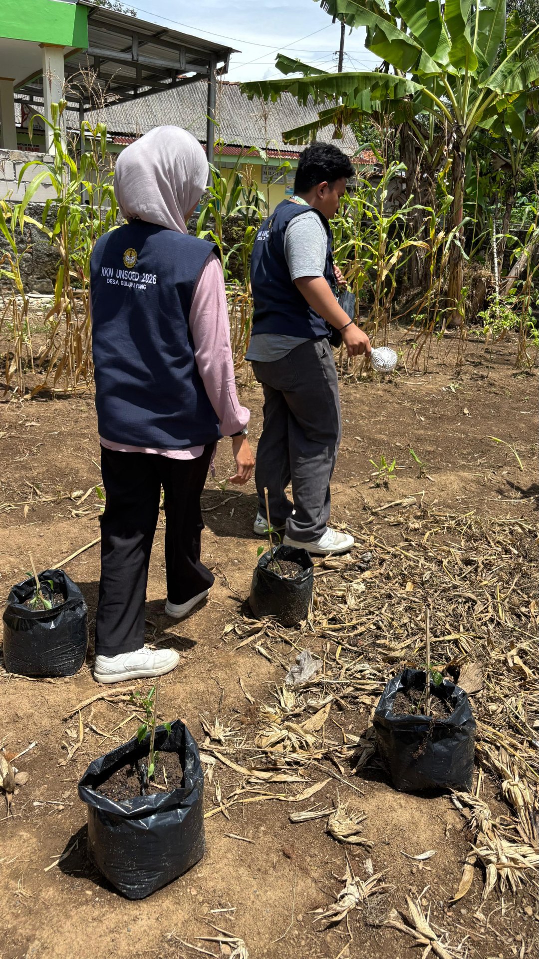 Apel, Pendampingan Posyandu, Monitoring Demplot, dan Pemasangan Biopori