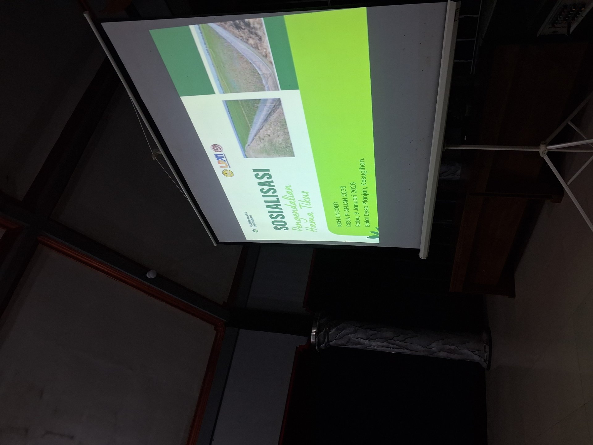 Sosialisasi Pengendalian Tikus