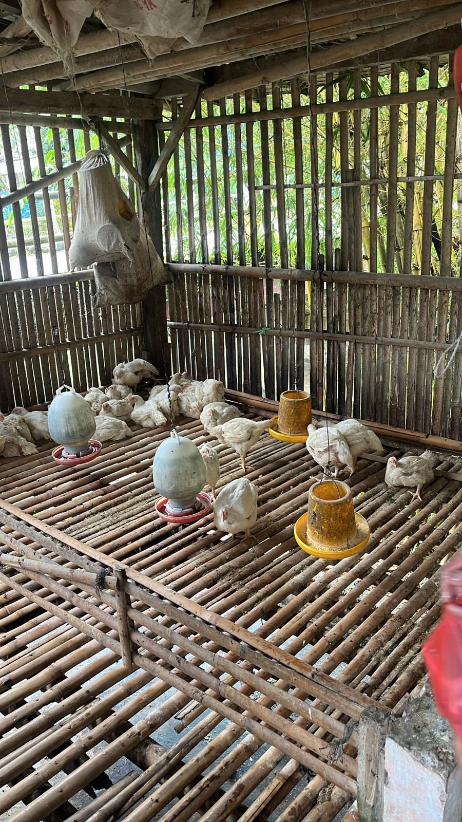 Kunjungan UMKM  di Desa Sumampir