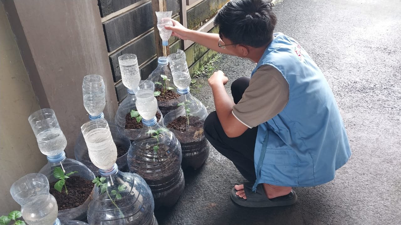 Monitoring intensifikasi pekarangan