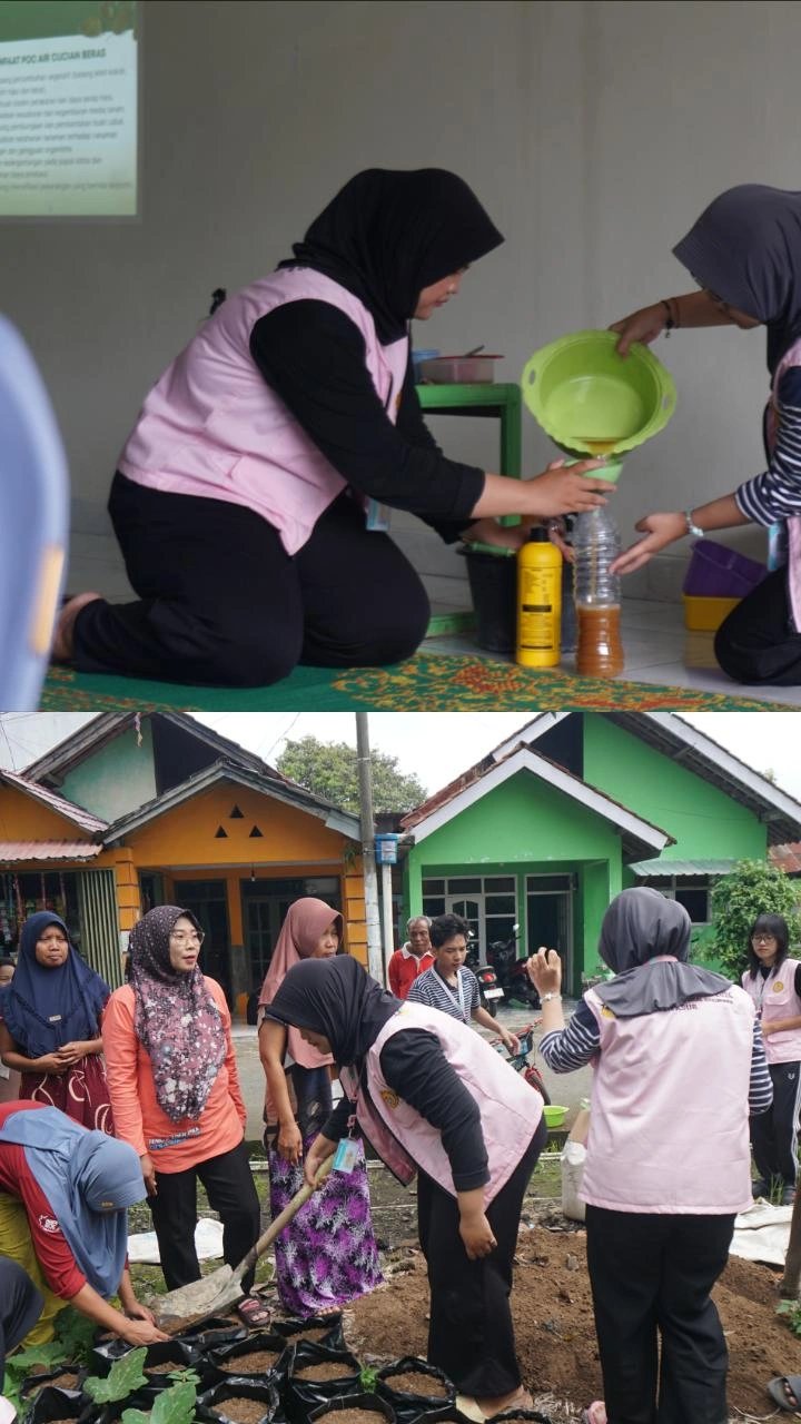 Sosialisasi dan Demontrasi Demplot Cabai, Pembuatan Pestisida Nabati, dan Pupuk Organik Cair