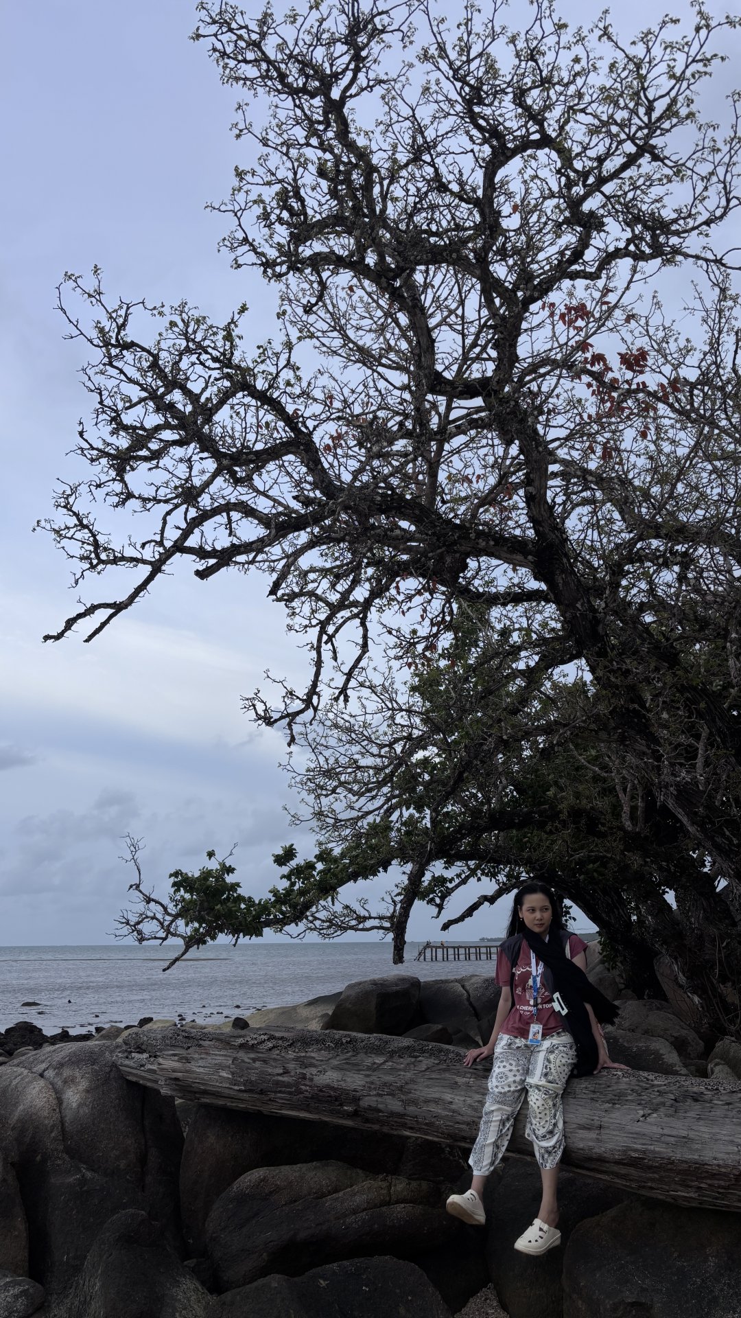 Geosite Pantai Batu Pulas