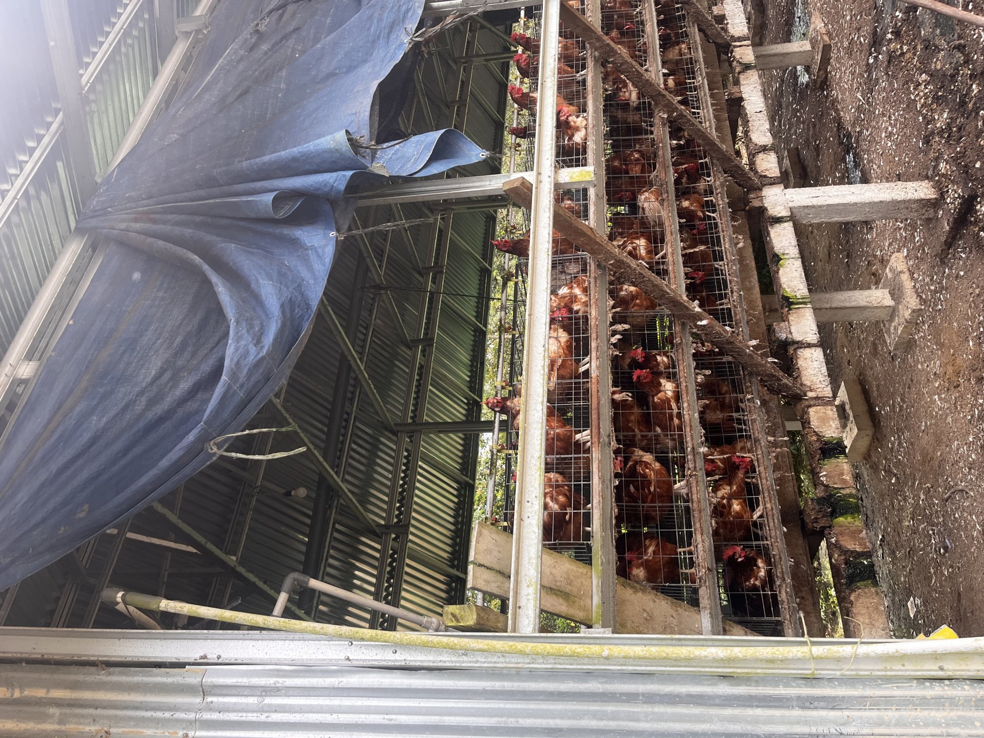 Diskusi dan survei bersama PPL