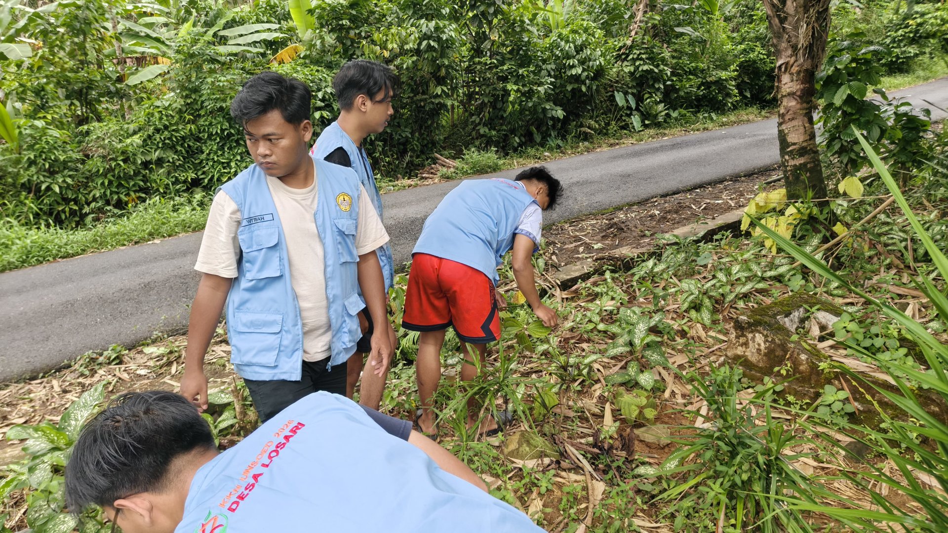 persiapan pembuatan pupuk kompos
