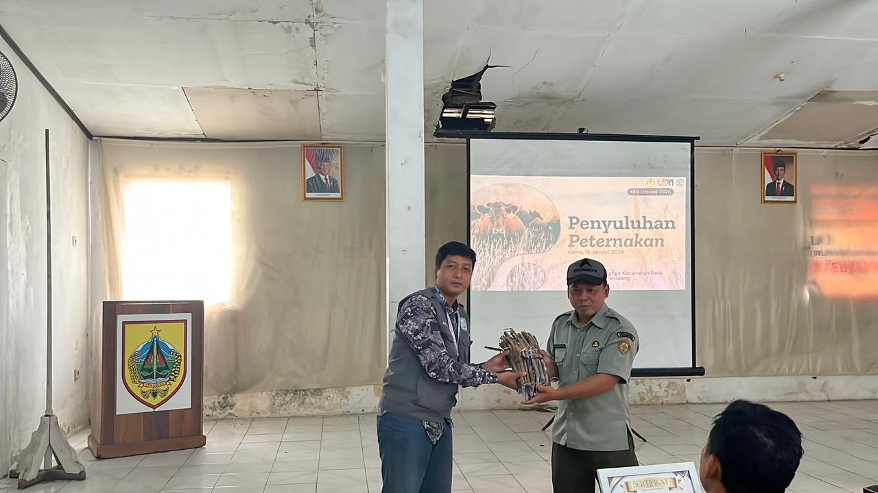 penyuluhan peternakan