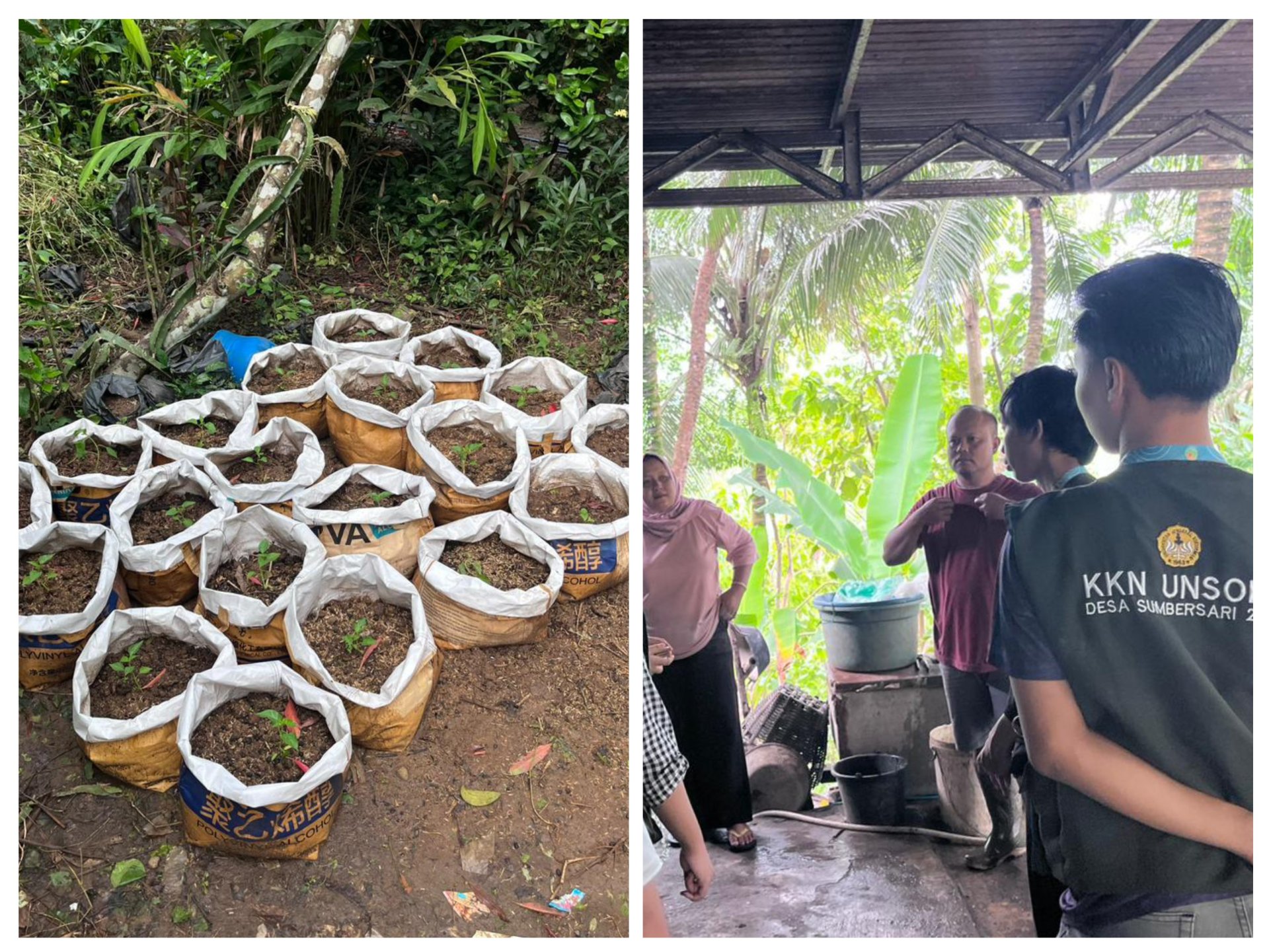 KKN Desa Sumbersari Kabupaten Wonosobo. Hari Ke-9