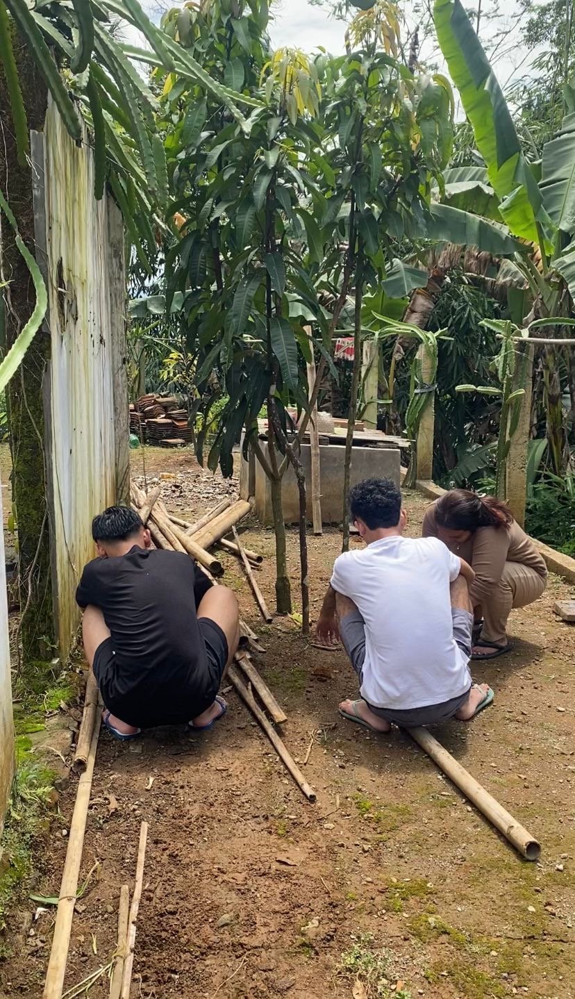 Melanjutkan Pembuatan Kolam Budidaya Azolla