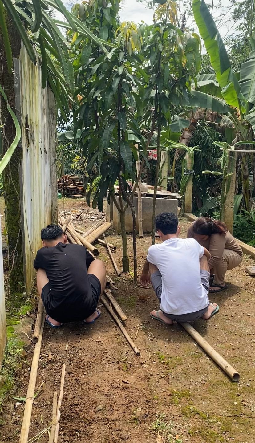 Persiapan Lingkungan untuk Budidaya Tanaman Air Azolla