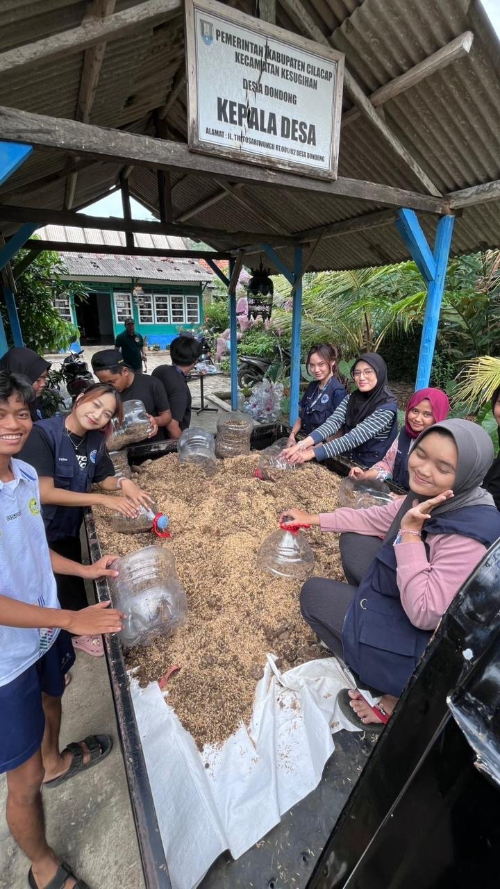 Pembuatan Media Tanam Jahe