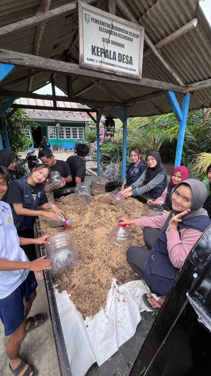 pembuatan media tanam jahe