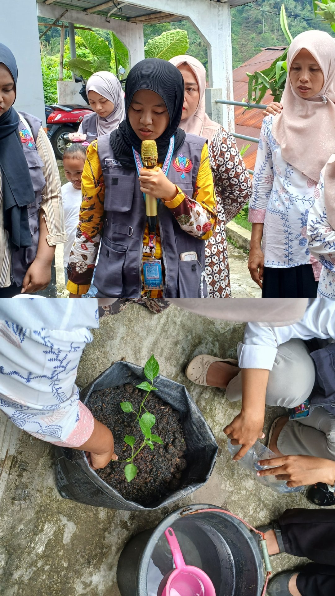 Program Kerja Bidang Lingkungan Penanaman Cabai di Planter Bag