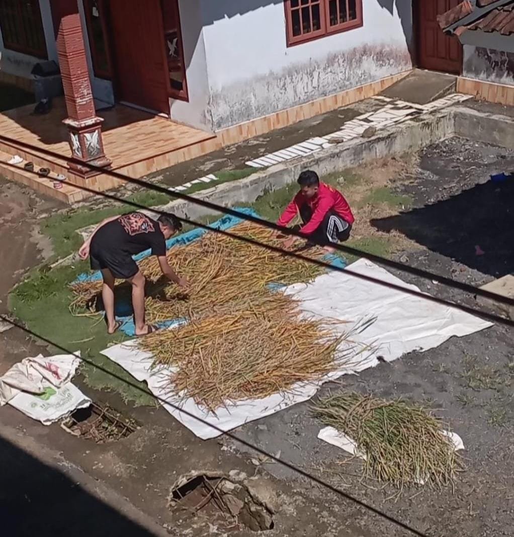 Persiapan Proker Pakan Ternak Alternatif