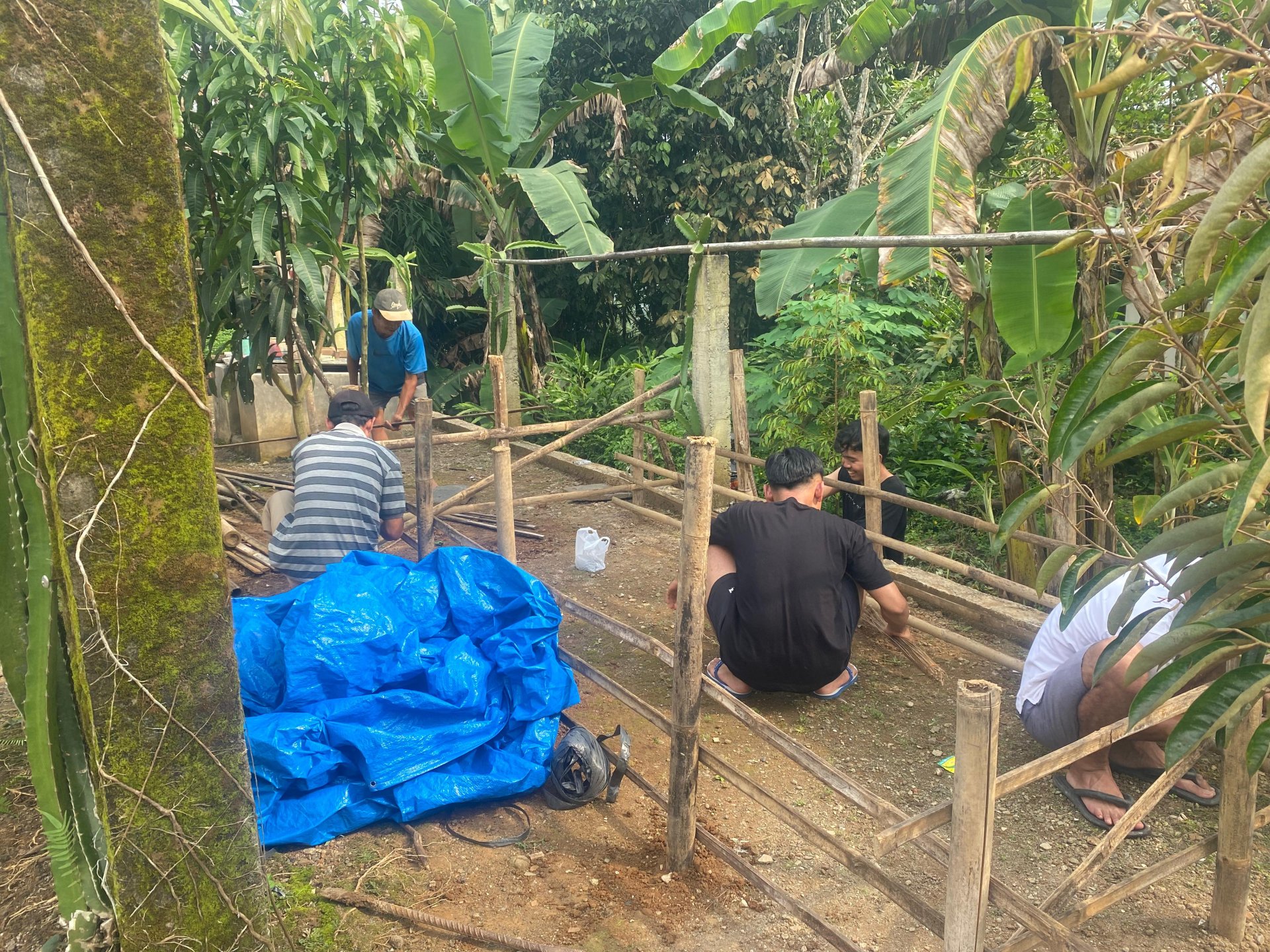 Pembuatan Kolam Untuk Budidaya Azolla Sebagai Salah Satu Upaya Pengembangan Potensi Pertanian di Desa Lancar