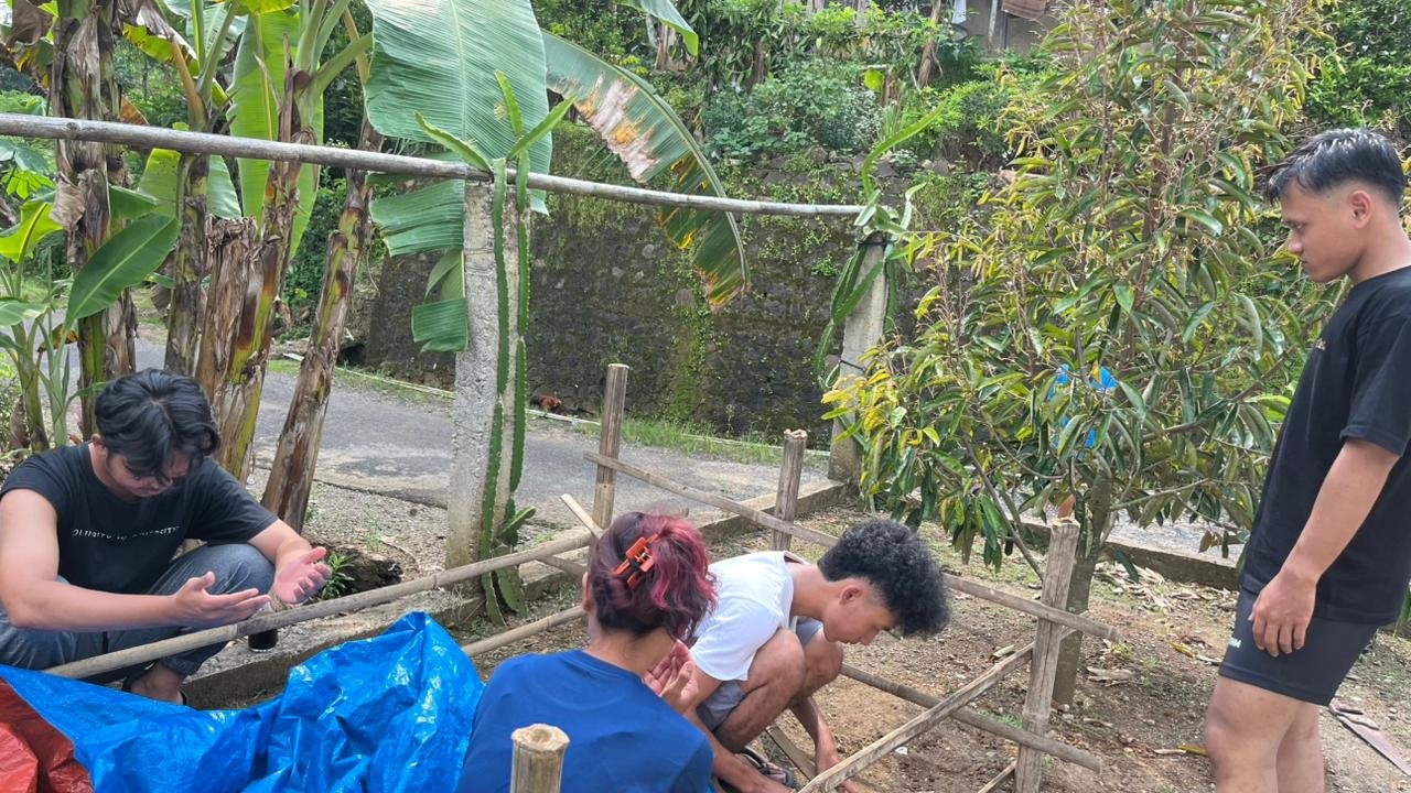 Mahasiswa KKN UNSOED 2026 Desa Lancar Laksanakan Pembuatan Kolam Budidaya Bibit Azolla