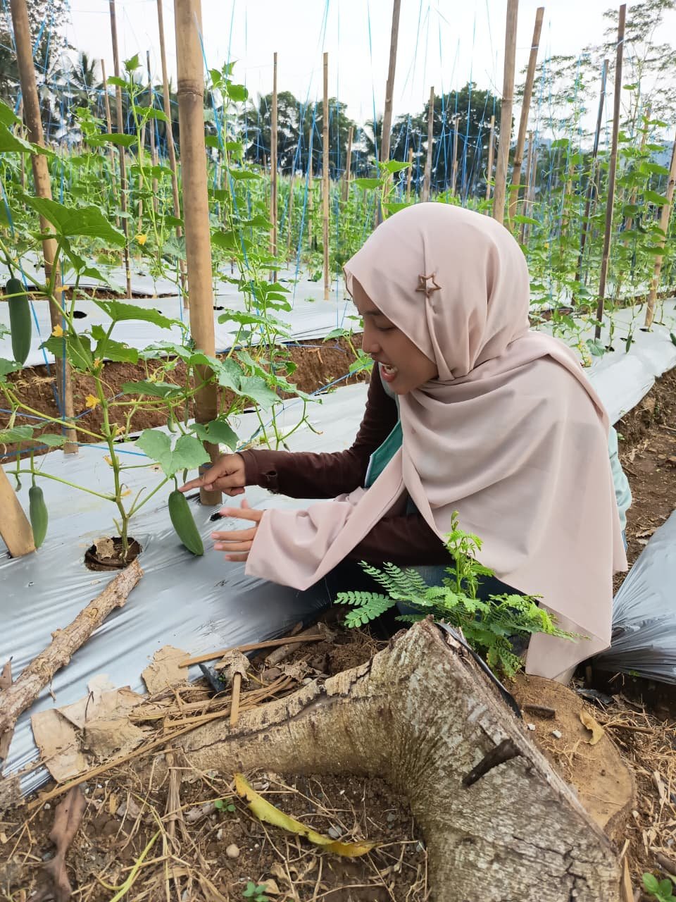 Mengunjungi Nata Farm untuk persiapan proker Edufarm
