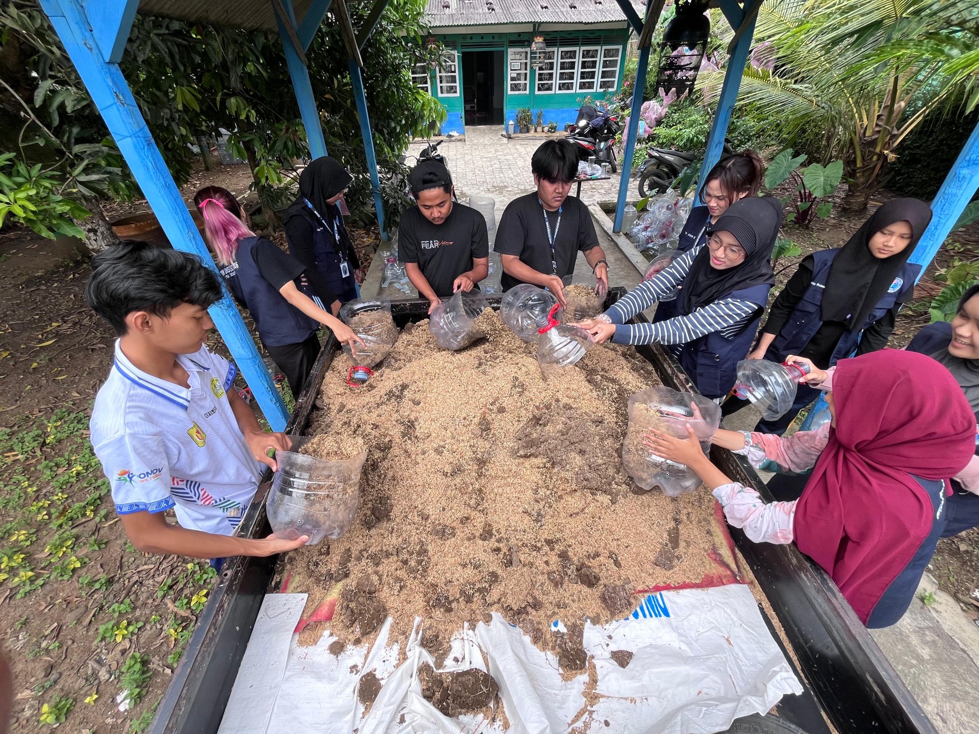 Persiapan tanam jahe