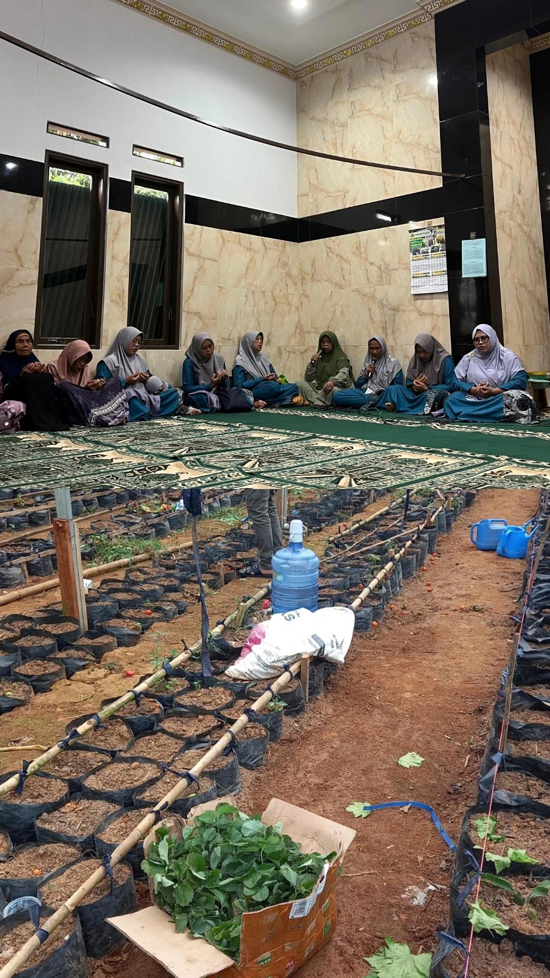 Pengajian Rutin dan Penanaman Bibit Stroberi di Greenhouse