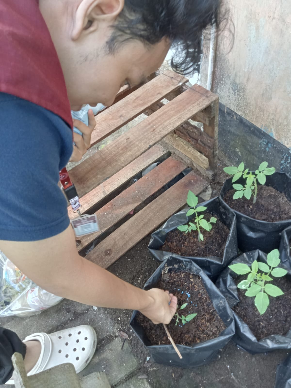 CONTROLLING INTENSIFIKASI PEKARANGAN
