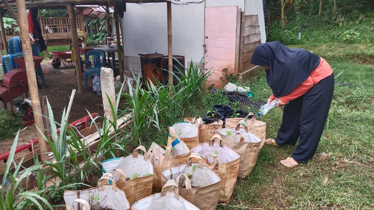 Monitoring Planter bag tanaman cabai dan terong